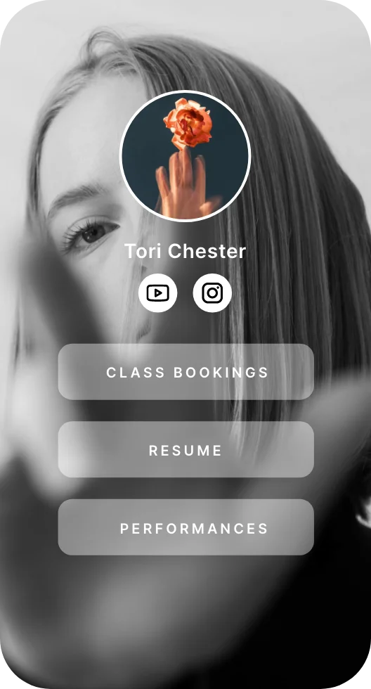 wonderlink - reference 17